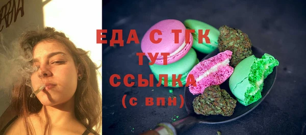 тгк Инсар