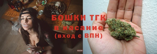индика Новодвинск