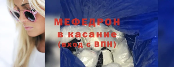 индика Новодвинск