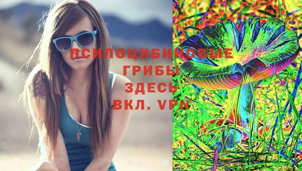 круглые Няндома