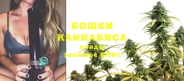 винт Новозыбков