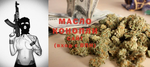 индика Новодвинск