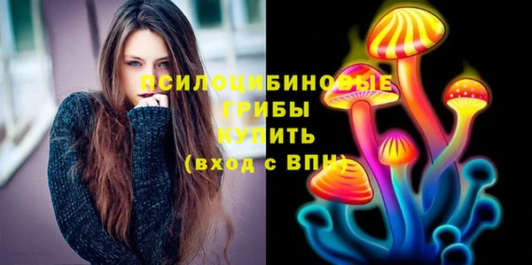 винт Новозыбков