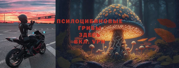 герыч Нязепетровск