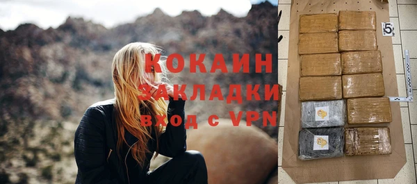 индика Новодвинск
