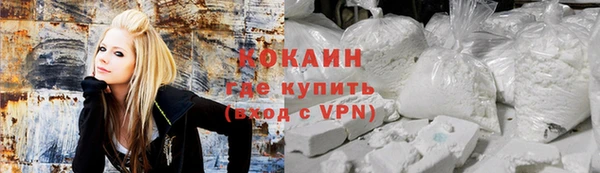 индика Новодвинск